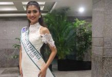 Lissa Dwi Wahyuningsih, Miss Earth-Eco Tourism Indonesia 2017