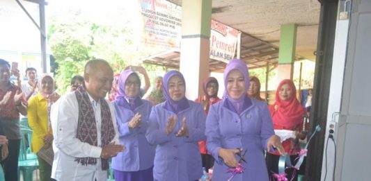RTK Tersedia di Setiap Kecamatan Ketua TP-PKK Kabupaten Melawi memotong pita ketika launching RTK Sayang Ibu Kecamatan Nanga Pinoh