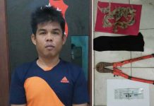 Alarm Berbunyi, Pencuri Walet Dikepung Warga