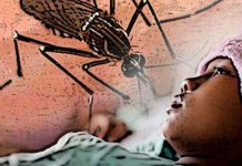 Pemkot Lahirkan Juru Pemantau Jentik