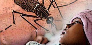 Pemkot Lahirkan Juru Pemantau Jentik