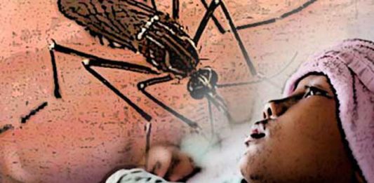 Pemkot Lahirkan Juru Pemantau Jentik