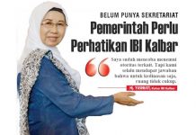 Pemerintah Perlu Perhatikan IBI Kalbar