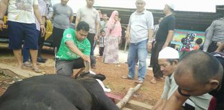 Hewan Kurban di Masjid Agung Berkurang