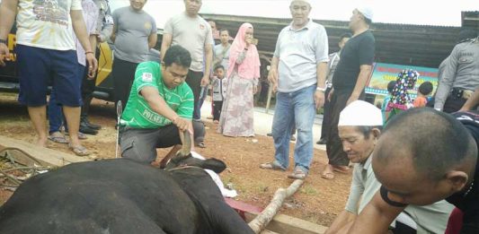 Hewan Kurban di Masjid Agung Berkurang