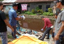 Teriak Ada Ikan Besar Tiba-tiba Hilang dan Tewas