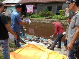 Teriak Ada Ikan Besar Tiba-tiba Hilang dan Tewas