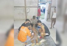 Lindungi Diri, Laurensius Tembak Andreas