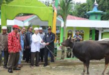 Jangan Dilihat Besar-Kecilnya