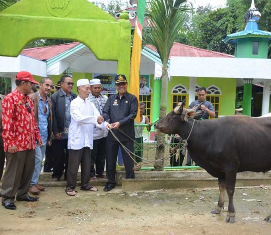 Jangan Dilihat Besar-Kecilnya