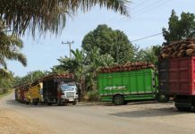 Tanya Kemana CSR  Perusahaan Sawit di Kalbar