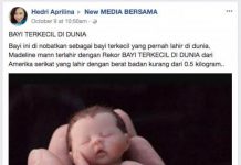 Ribuan Netizen Tertipu Miniatur Bayi