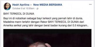 Ribuan Netizen Tertipu Miniatur Bayi