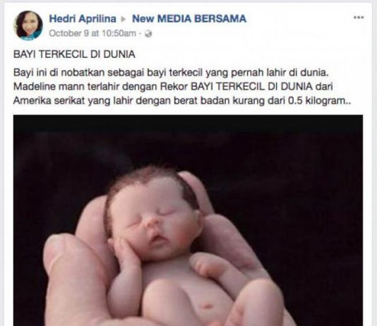 Ribuan Netizen Tertipu Miniatur Bayi