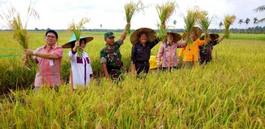 Tingkatkan Produksi Pertanian Imbangi Pertumbuhan Manusia