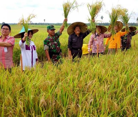 Tingkatkan Produksi Pertanian Imbangi Pertumbuhan Manusia