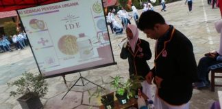 Penelitian Kalakai oleh Pelajar SMA di Sampit