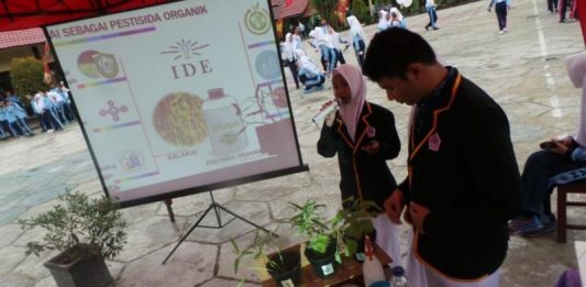 Penelitian Kalakai oleh Pelajar SMA di Sampit