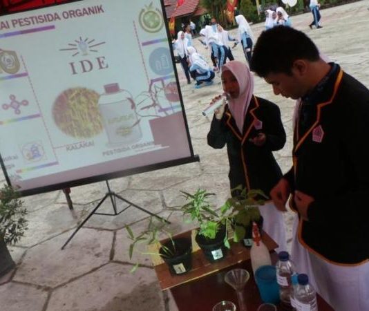 Penelitian Kalakai oleh Pelajar SMA di Sampit