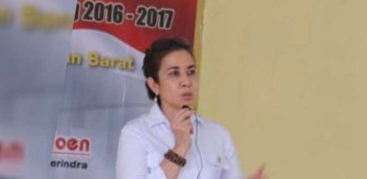 Tak Ada Lagi Alasan Pemadam Listrik