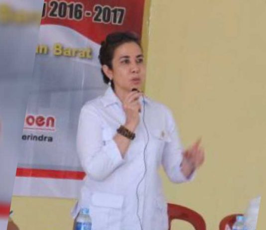 Tak Ada Lagi Alasan Pemadam Listrik