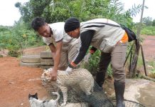 Warga Sembunyikan Anjingnya dalam Rumah