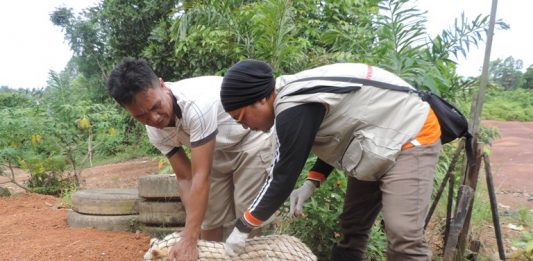 Warga Sembunyikan Anjingnya dalam Rumah