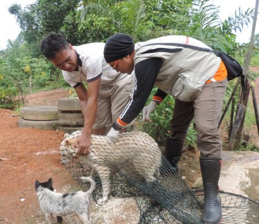 Warga Sembunyikan Anjingnya dalam Rumah