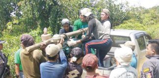 Curi Emas di Bumi Bengkayang, Sebelas Warga Tasikmalaya Diciduk