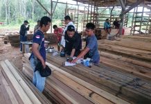 Bukti Pembalakan Liar Masih Marak