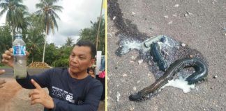 Heboh Mahluk di Sungai Soga Bengkayang