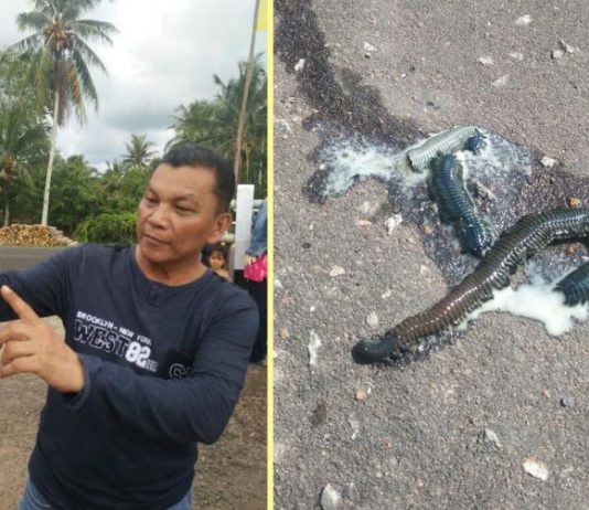 Heboh Mahluk di Sungai Soga Bengkayang