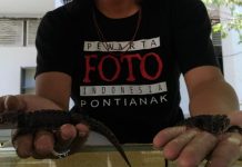 Perburuan Hewan Dilindungi Masih Marak