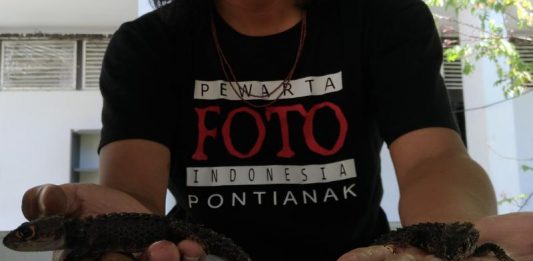 Perburuan Hewan Dilindungi Masih Marak