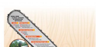 Ketapang, Surganya Illegal Logging