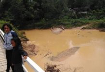 Perusahaan Kebun di Bengkayang  Diduga Cemari Lingkungan