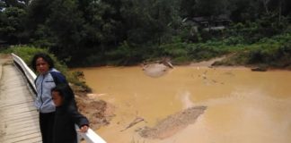 Perusahaan Kebun di Bengkayang Diduga Cemari Lingkungan