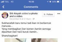 Ikan Aneh Jenis Baru