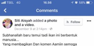 Ikan Aneh Jenis Baru