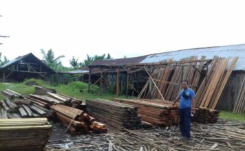 Tak Miliki Dokumen, 500 Batang Kayu Olahan Disita