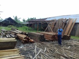 500 Batang Kayu Disita Polda Kalbar