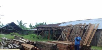 500 Batang Kayu Disita Polda Kalbar