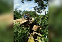 Dilintasi Truk Pengangkut Excavator PT. MBJ, Jembatan Utama di Pekawai Ambruk