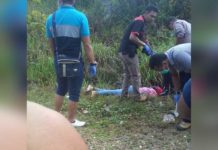 Arisa Ditemukan Tewas Tak Wajar di Pinggir Jalan