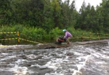 Ketika Jalan Nasional dan Provinsi Seperti Tak Dipedulikan