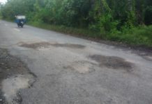 Jalan Sukadana-Teluk Batang Berhias Lubang
