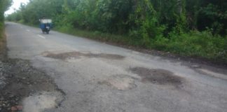 Jalan Sukadana-Teluk Batang Berhias Lubang