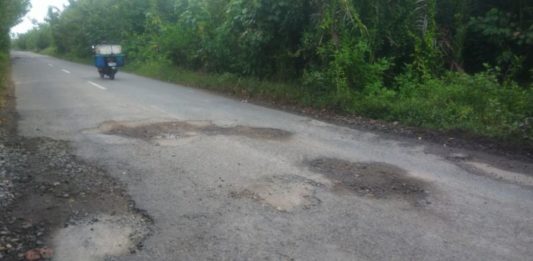 Jalan Sukadana-Teluk Batang Berhias Lubang
