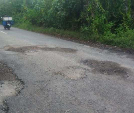 Jalan Sukadana-Teluk Batang Berhias Lubang