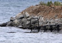 Pakai Dua Pukat dan Perangkap, Buaya Berkalung Ban Tetap Tak Tertangkap